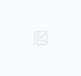 �G���A�j���̃v������r